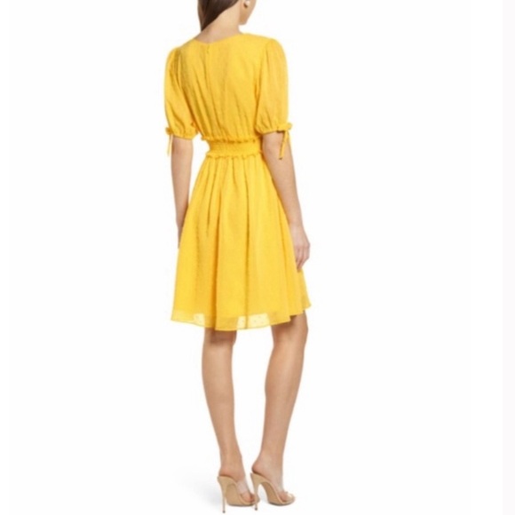 Rachel Parcell Smocked Waist Swiss Dot Dress - Picture 9 of 9